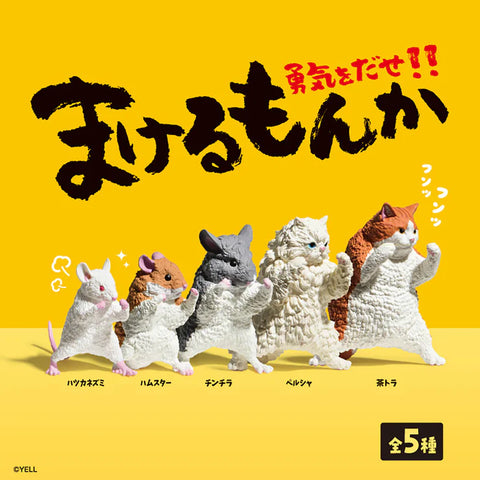 I won't Lose - Blind Box