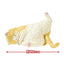 Sleeping Cats Vol. 2 - Blind Box