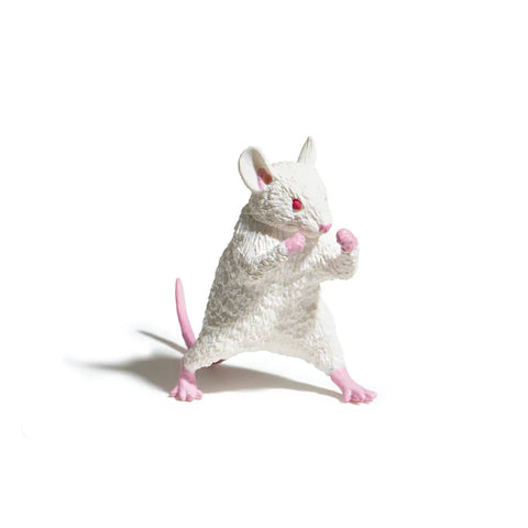 I won't Lose - Blind Box