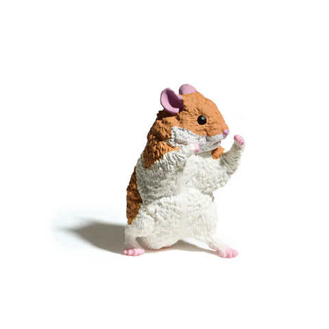 I won't Lose - Blind Box